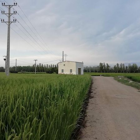 Apartmán Gegant De Ferro Sant Jaume d'Enveja Exteriér fotografie