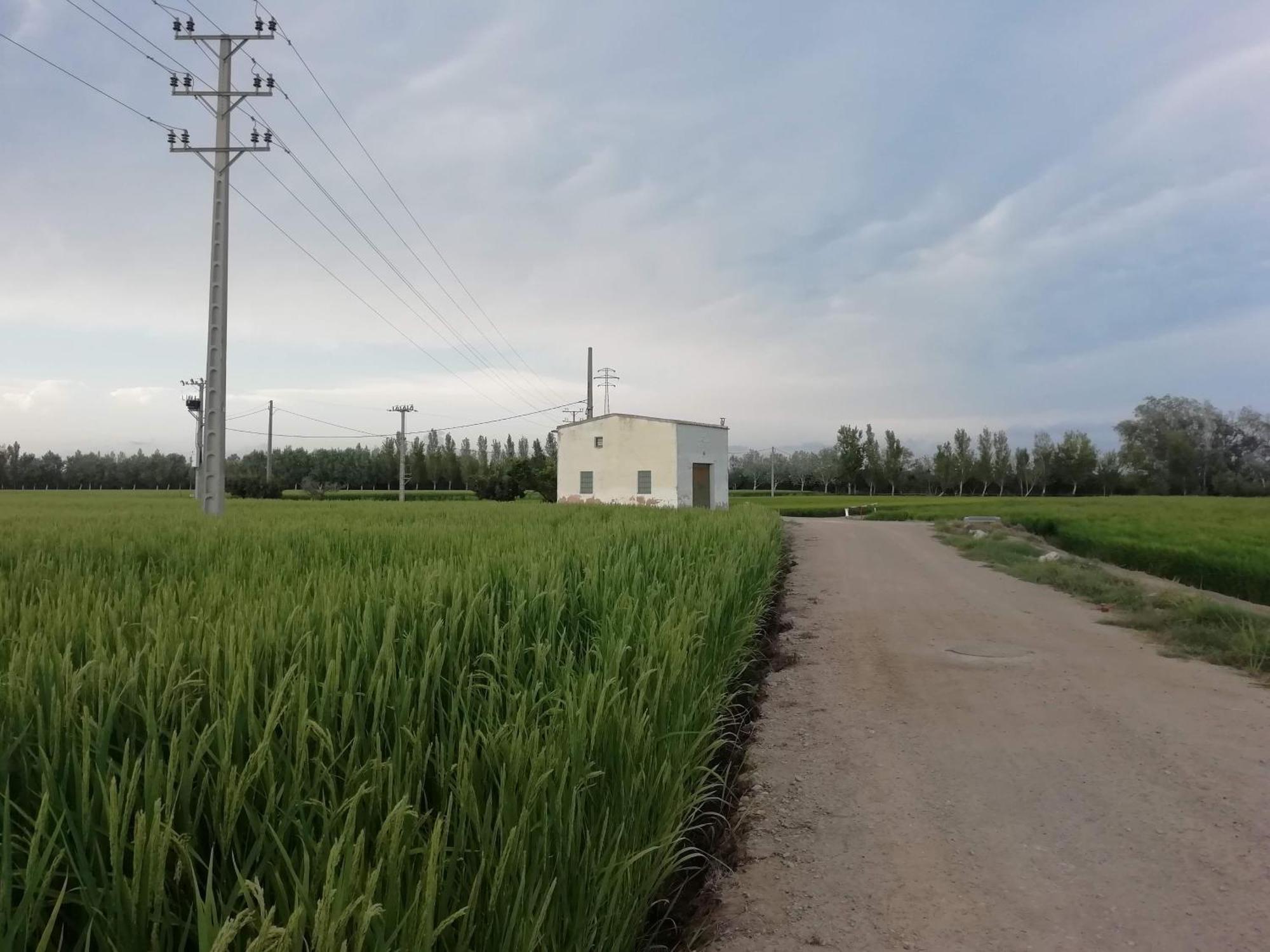 Apartmán Gegant De Ferro Sant Jaume d'Enveja Exteriér fotografie